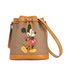 Gucci x Disney Bucket Bag, front view